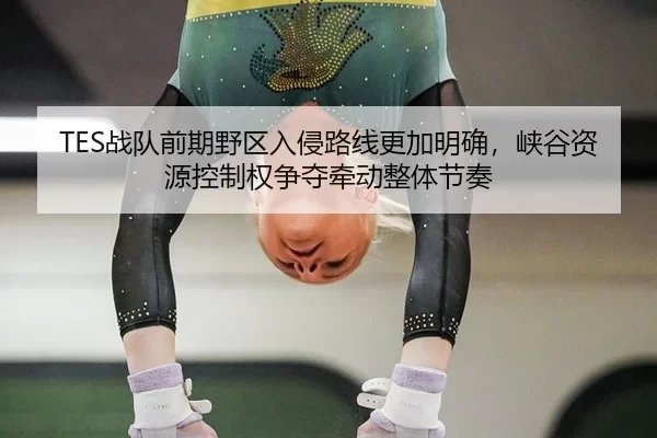 zhan-dui-qian-qi-ye-qu-ru-qin-lu-xian-geng-jia-ming-que-xia-gu-zi-yuan-kong-zhi-quan-zheng-duo-qian-dong-zheng-ti-jie-2-511.jpg